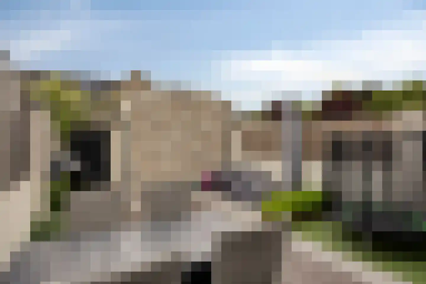 Bijsterveldenlaan 318 Tilburg thumbnail 32