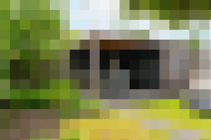 Bijsterveldenlaan 32 Tilburg thumbnail 32