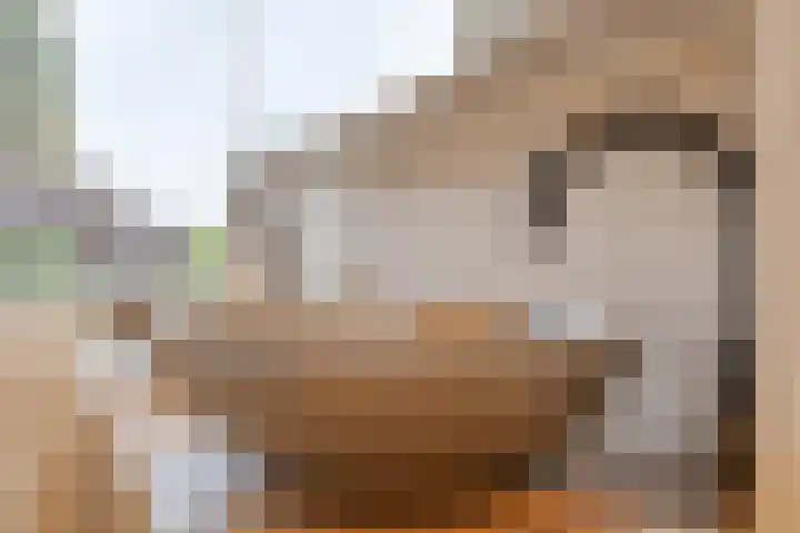 Bijsterveldenlaan 334 Tilburg thumbnail 21