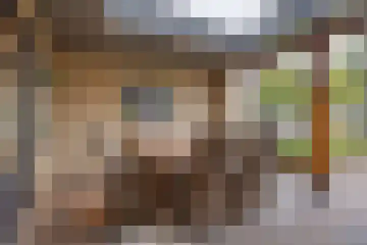 Bijsterveldenlaan 334 Tilburg thumbnail 30