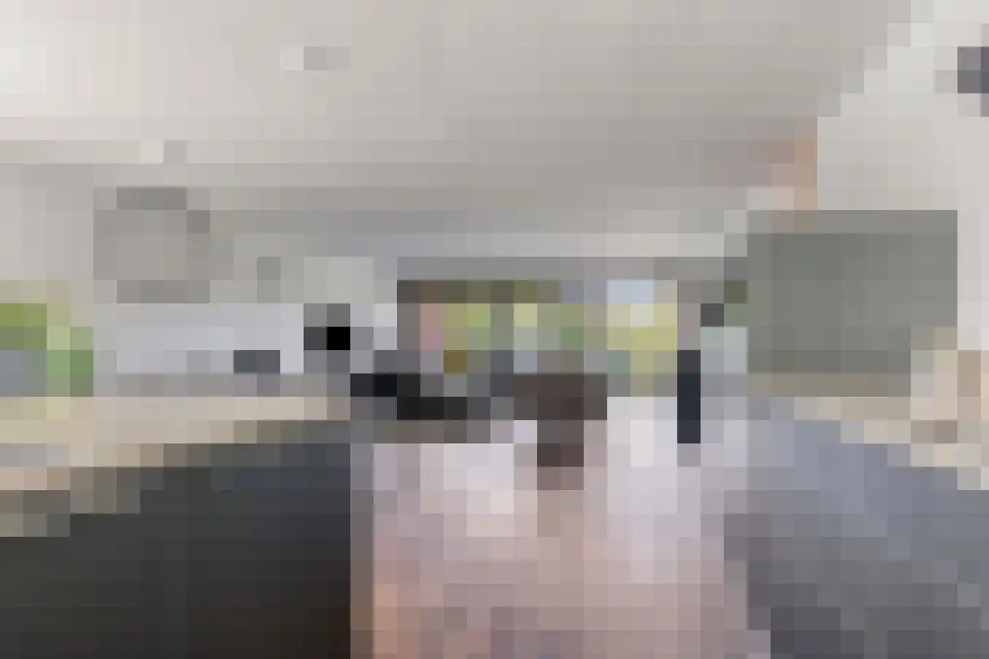 Bijsterveldenlaan 335 Tilburg thumbnail 12