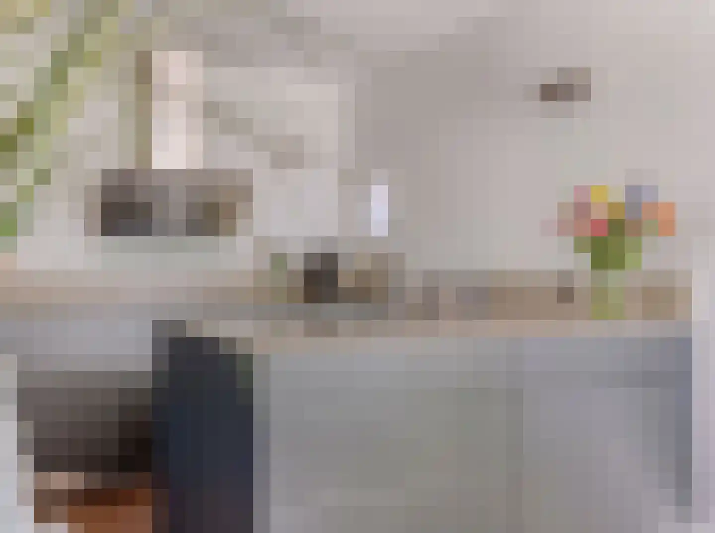 Bijsterveldenlaan 335 Tilburg thumbnail 14