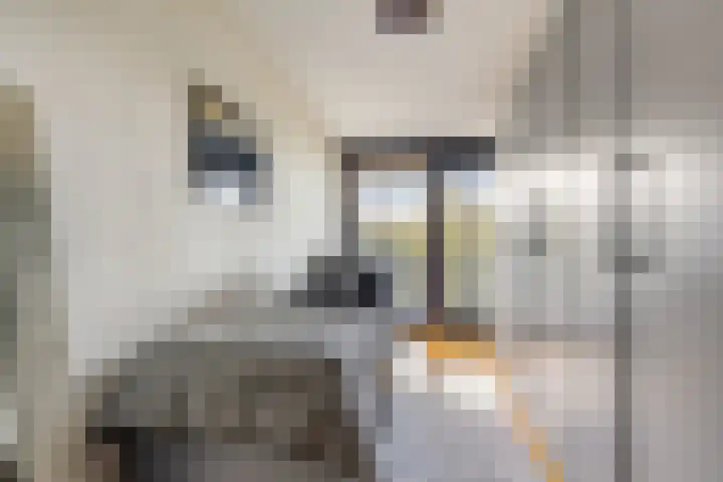 Bijsterveldenlaan 335 Tilburg thumbnail 23