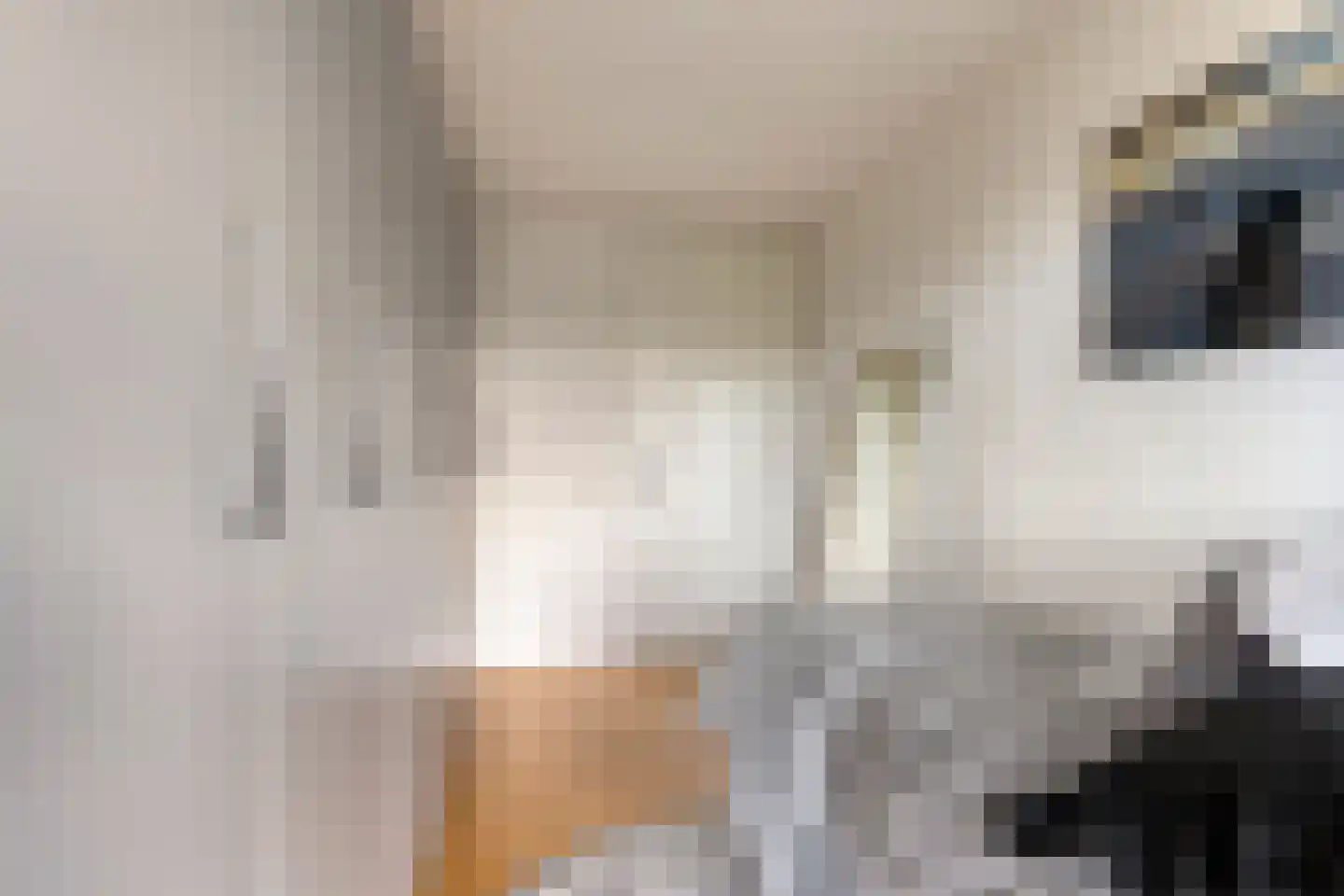 Bijsterveldenlaan 335 Tilburg thumbnail 24