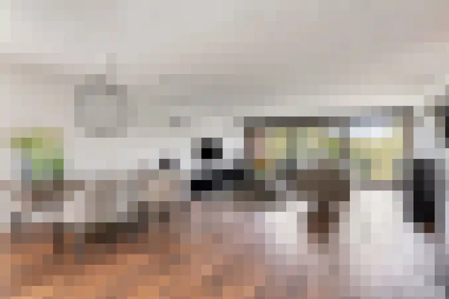 Bijsterveldenlaan 335 Tilburg thumbnail 7