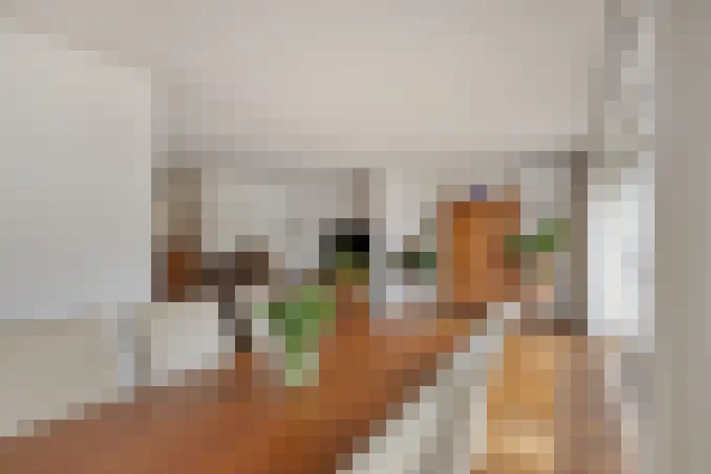 Bijsterveldenlaan 346 Tilburg thumbnail 14