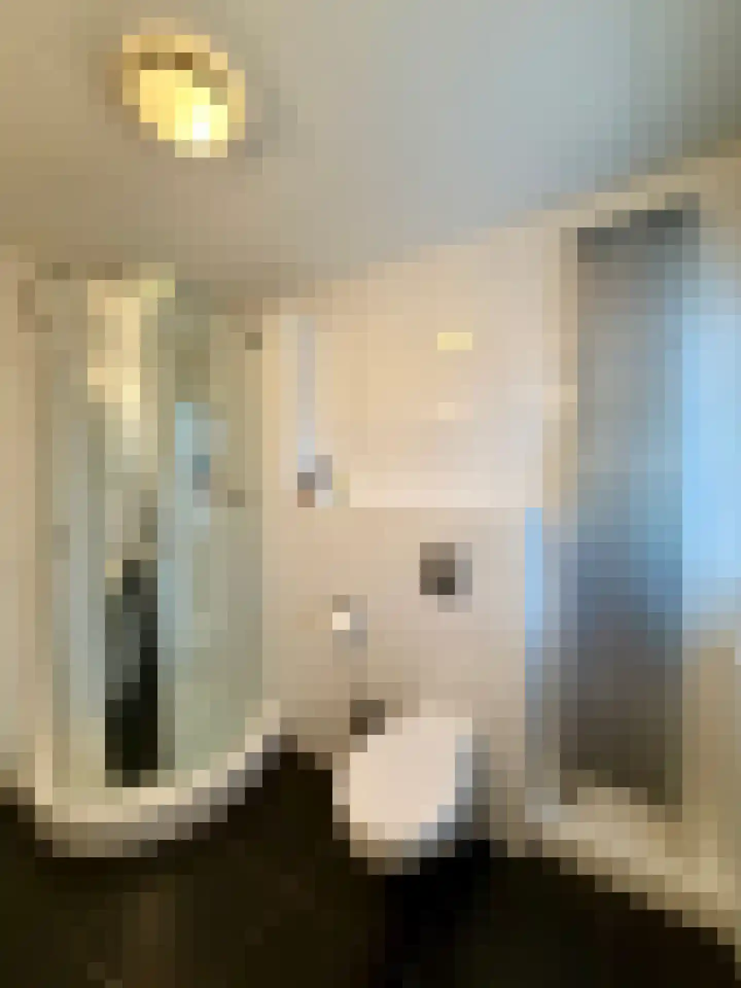 Bijsterveldenlaan 346 Tilburg thumbnail 21