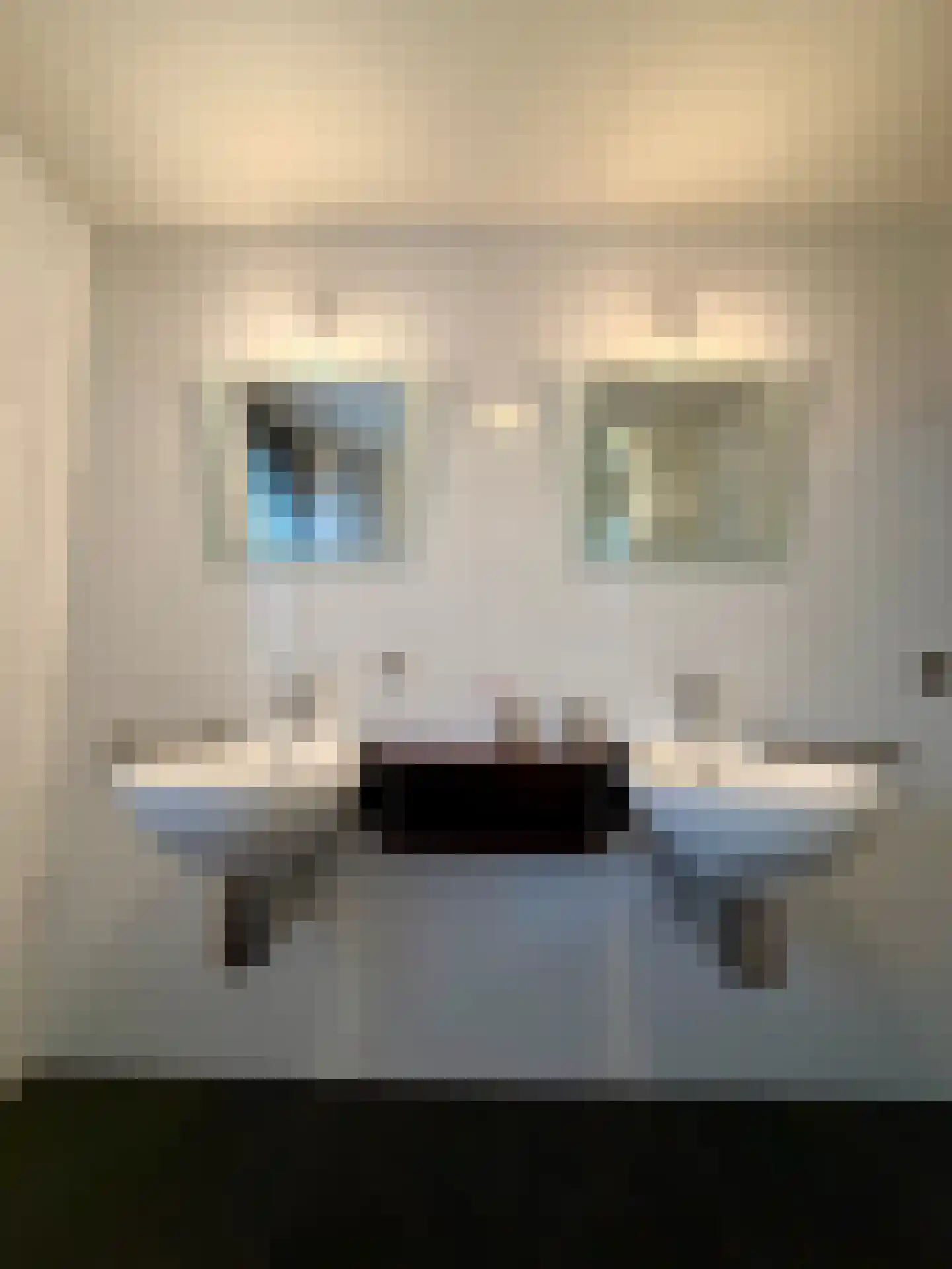Bijsterveldenlaan 346 Tilburg thumbnail 22