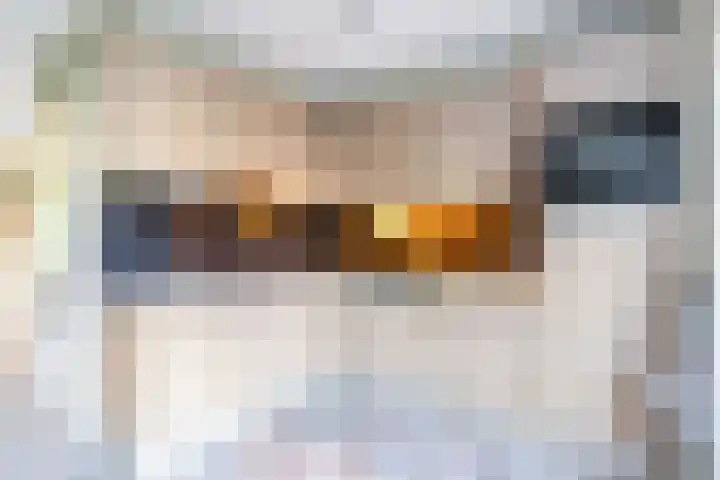 Bijsterveldenlaan 352 Tilburg thumbnail 10