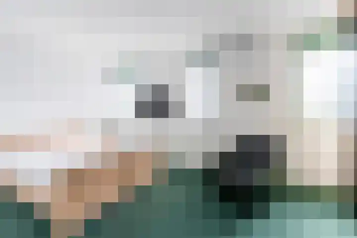 Bijsterveldenlaan 352 Tilburg thumbnail 13