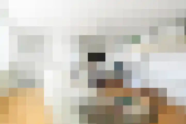 Bijsterveldenlaan 352 Tilburg thumbnail 18