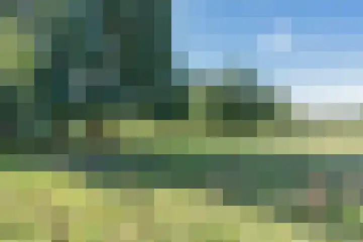 Bijsterveldenlaan 352 Tilburg thumbnail 29