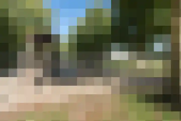 Bijsterveldenlaan 352 Tilburg thumbnail 32