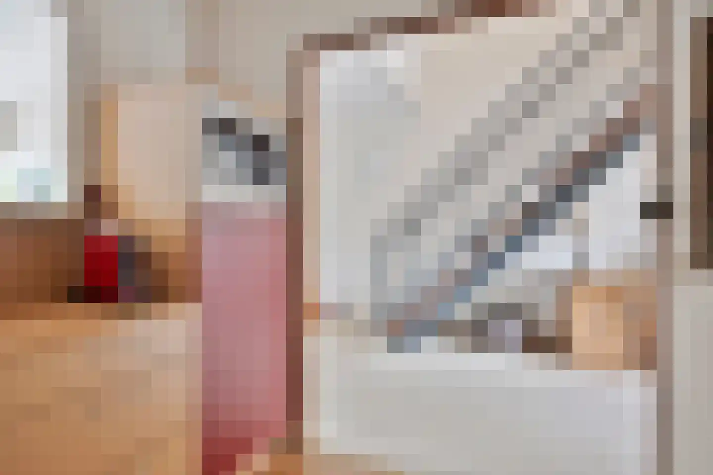 Bijsterveldenlaan 353 Tilburg thumbnail 13