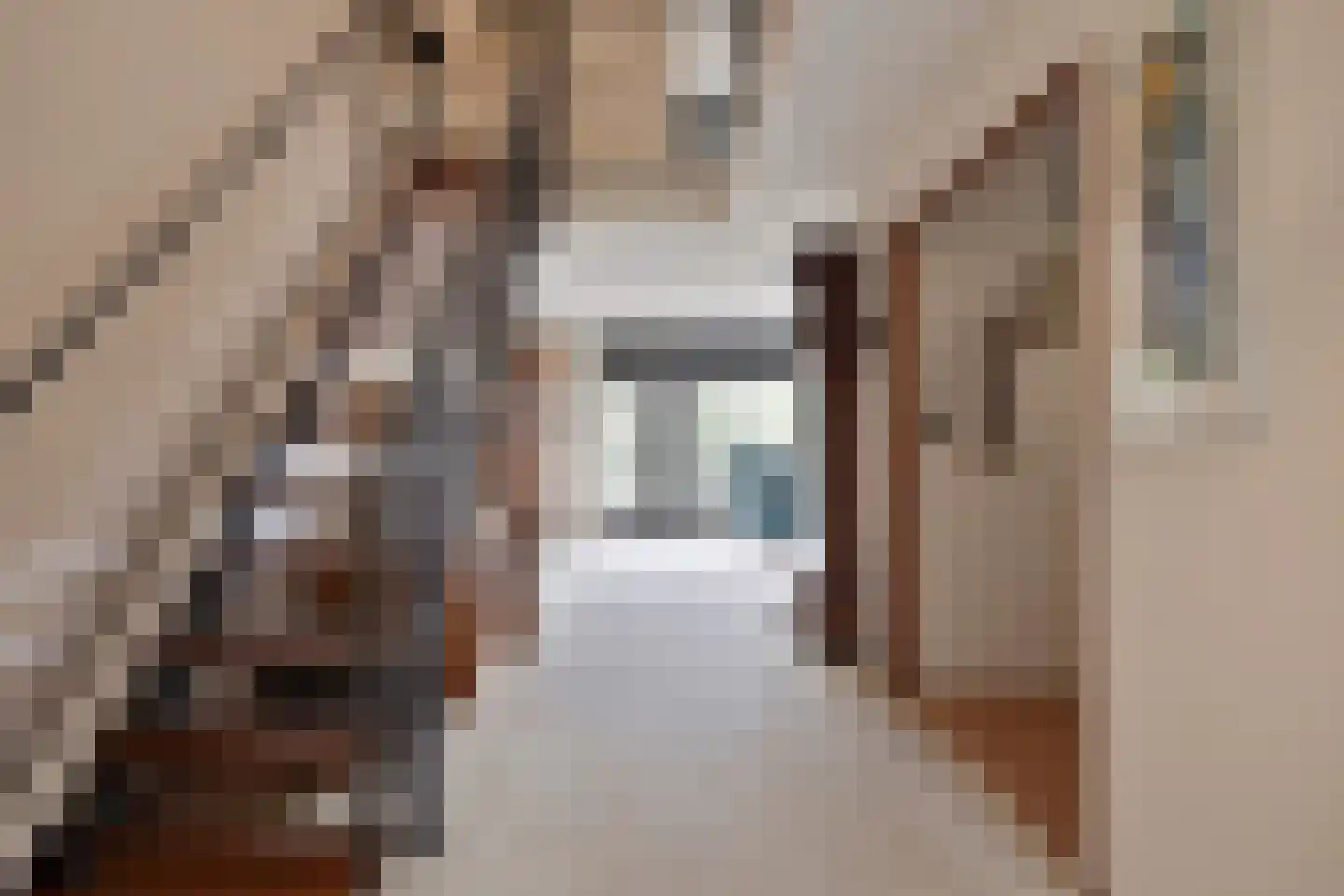 Bijsterveldenlaan 353 Tilburg thumbnail 20