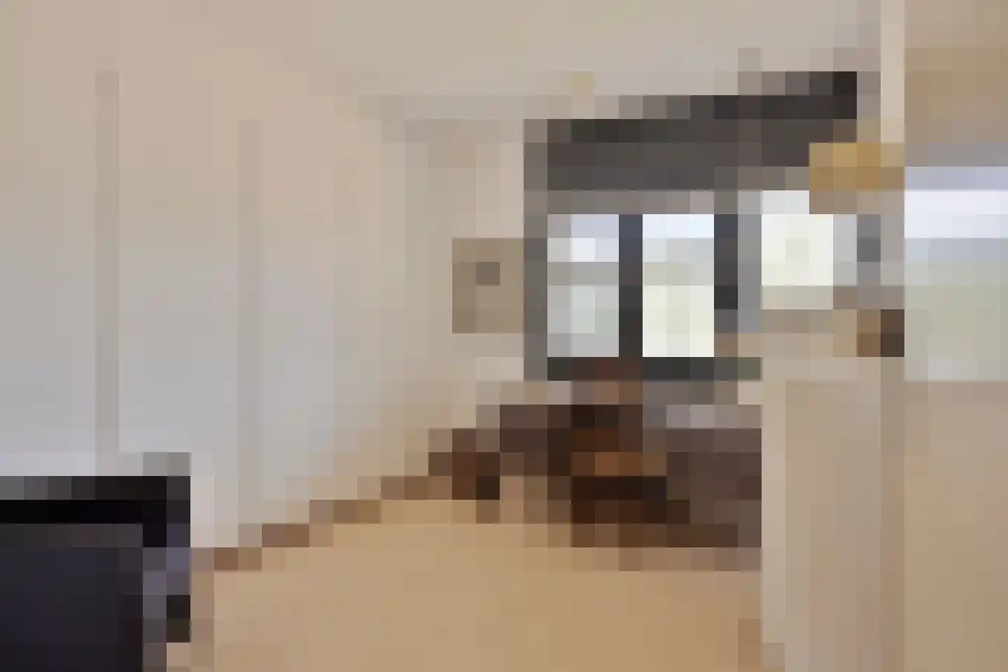 Bijsterveldenlaan 353 Tilburg thumbnail 28