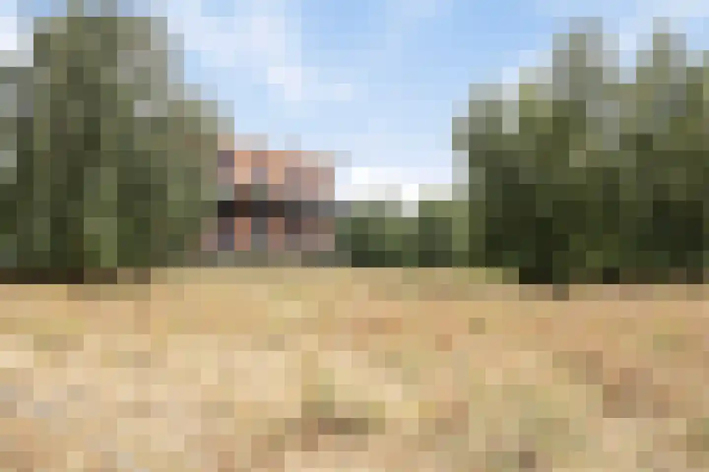 Bijsterveldenlaan 353 Tilburg thumbnail 39
