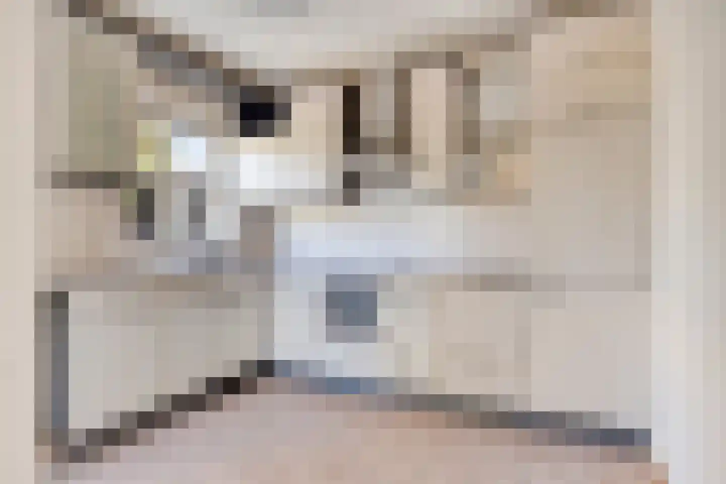 Bijsterveldenlaan 354 Tilburg thumbnail 11