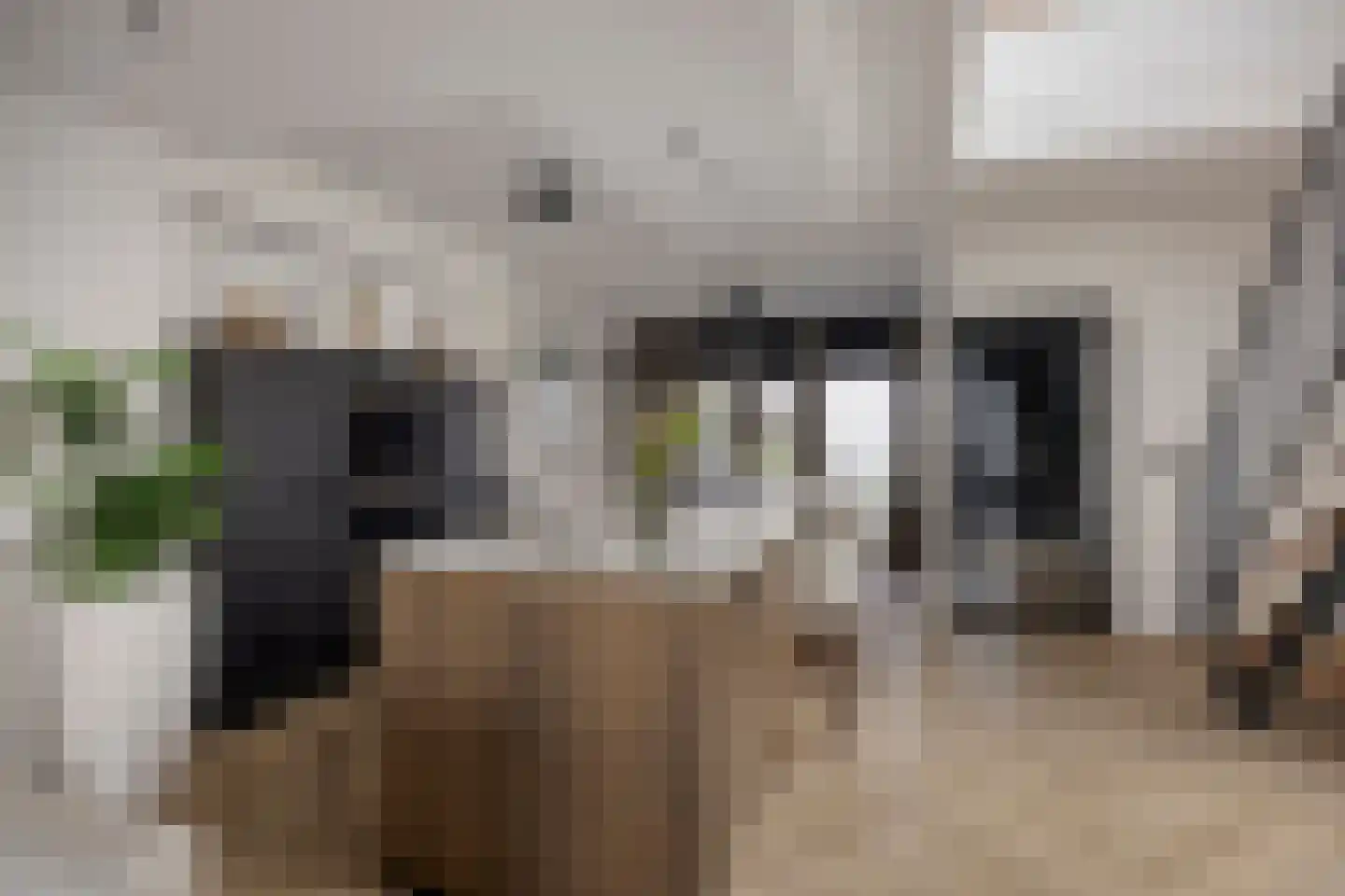Bijsterveldenlaan 389 Tilburg thumbnail 10