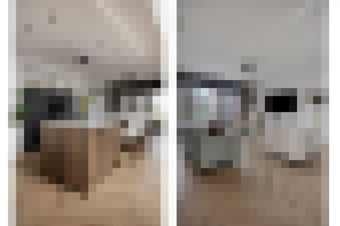 Bijsterveldenlaan 389 Tilburg thumbnail 11