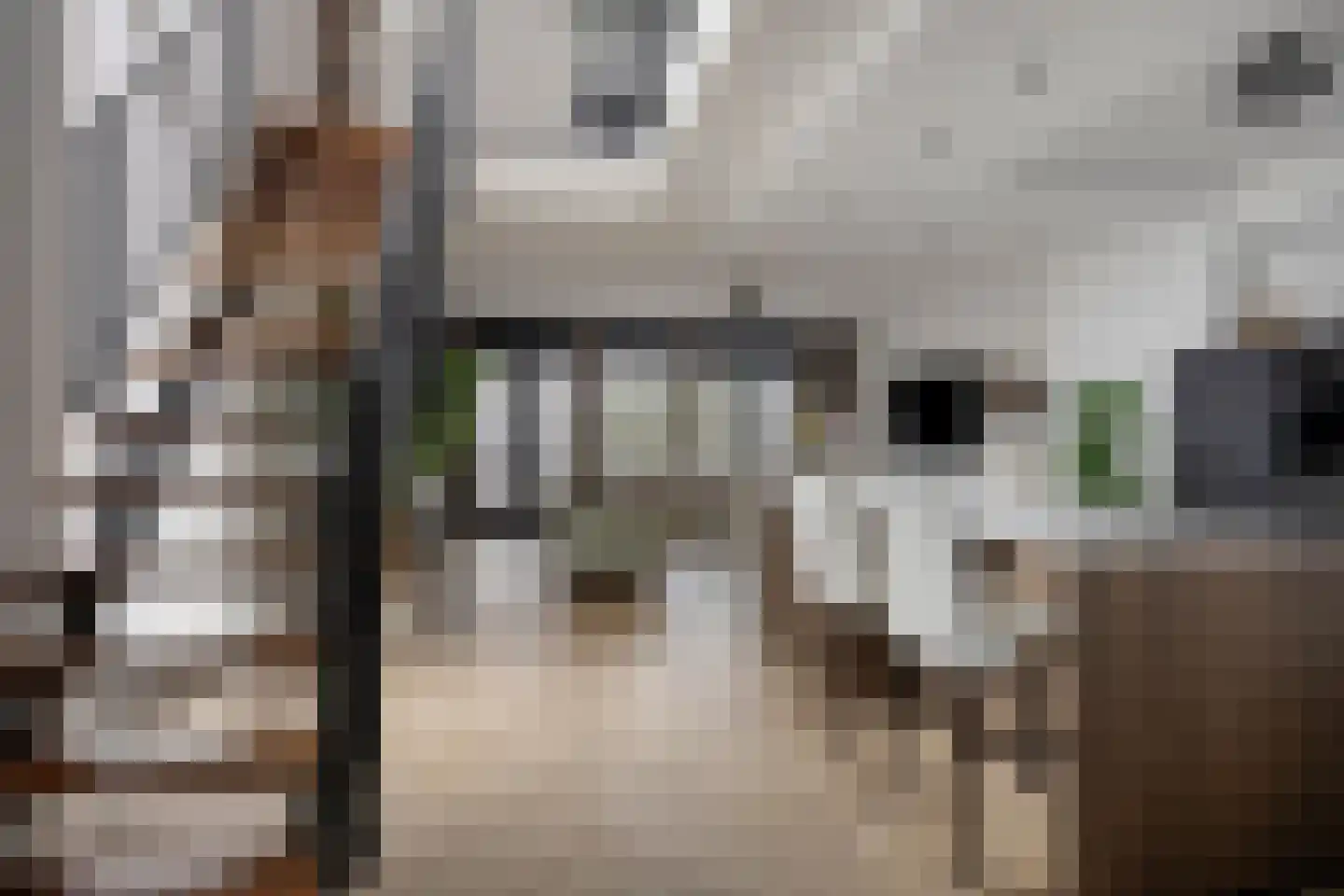 Bijsterveldenlaan 389 Tilburg thumbnail 12
