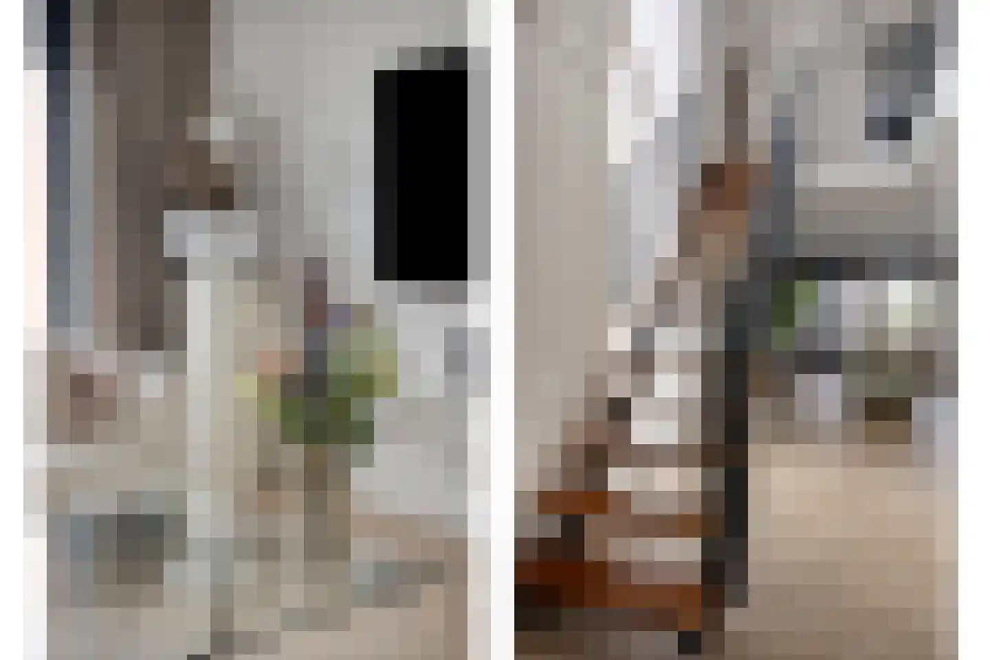 Bijsterveldenlaan 389 Tilburg thumbnail 13