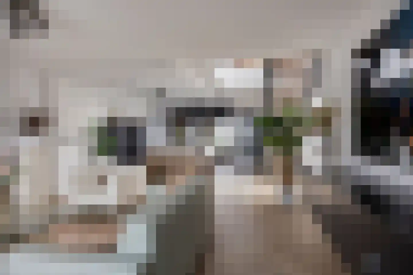 Bijsterveldenlaan 389 Tilburg thumbnail 4