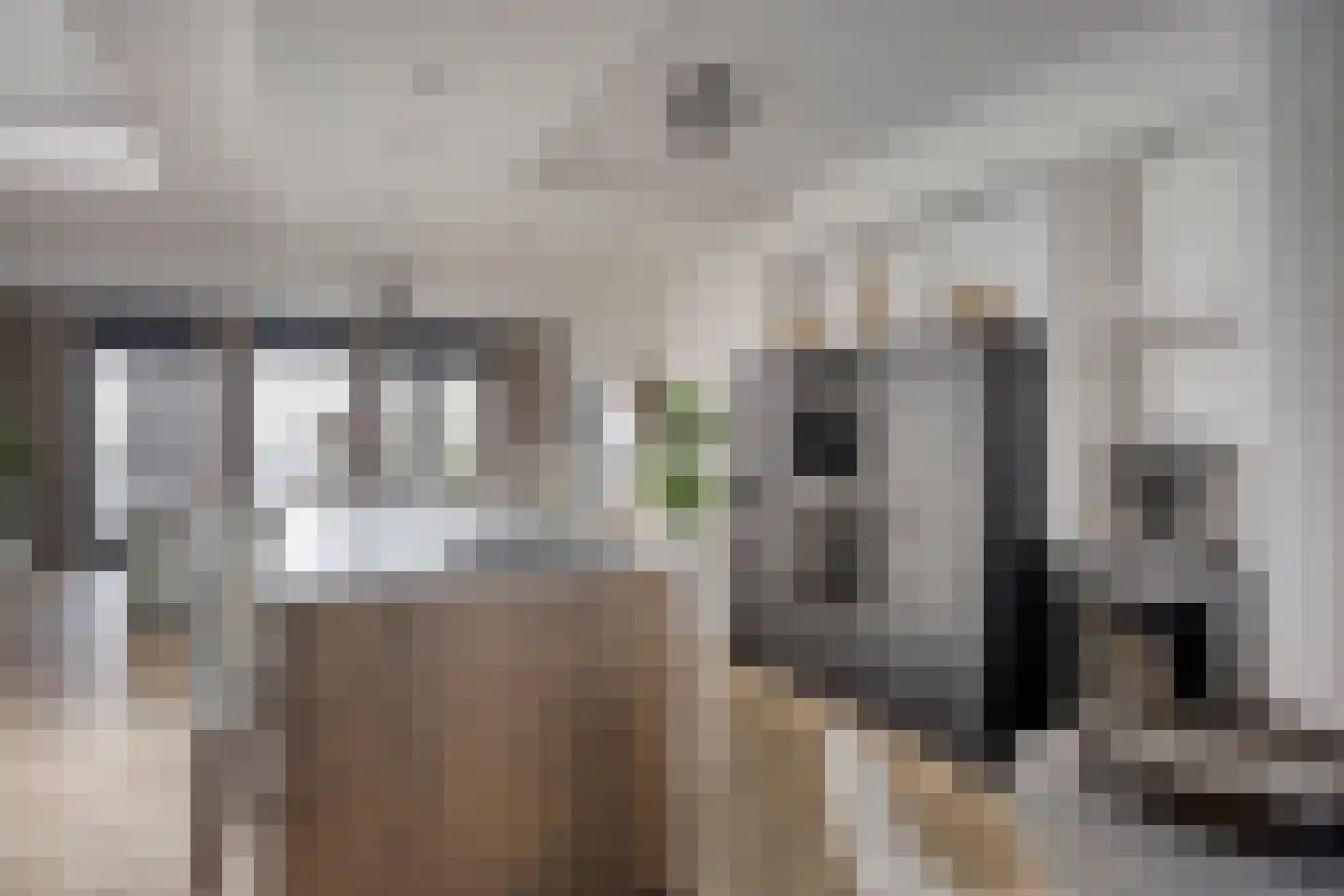 Bijsterveldenlaan 389 Tilburg thumbnail 6