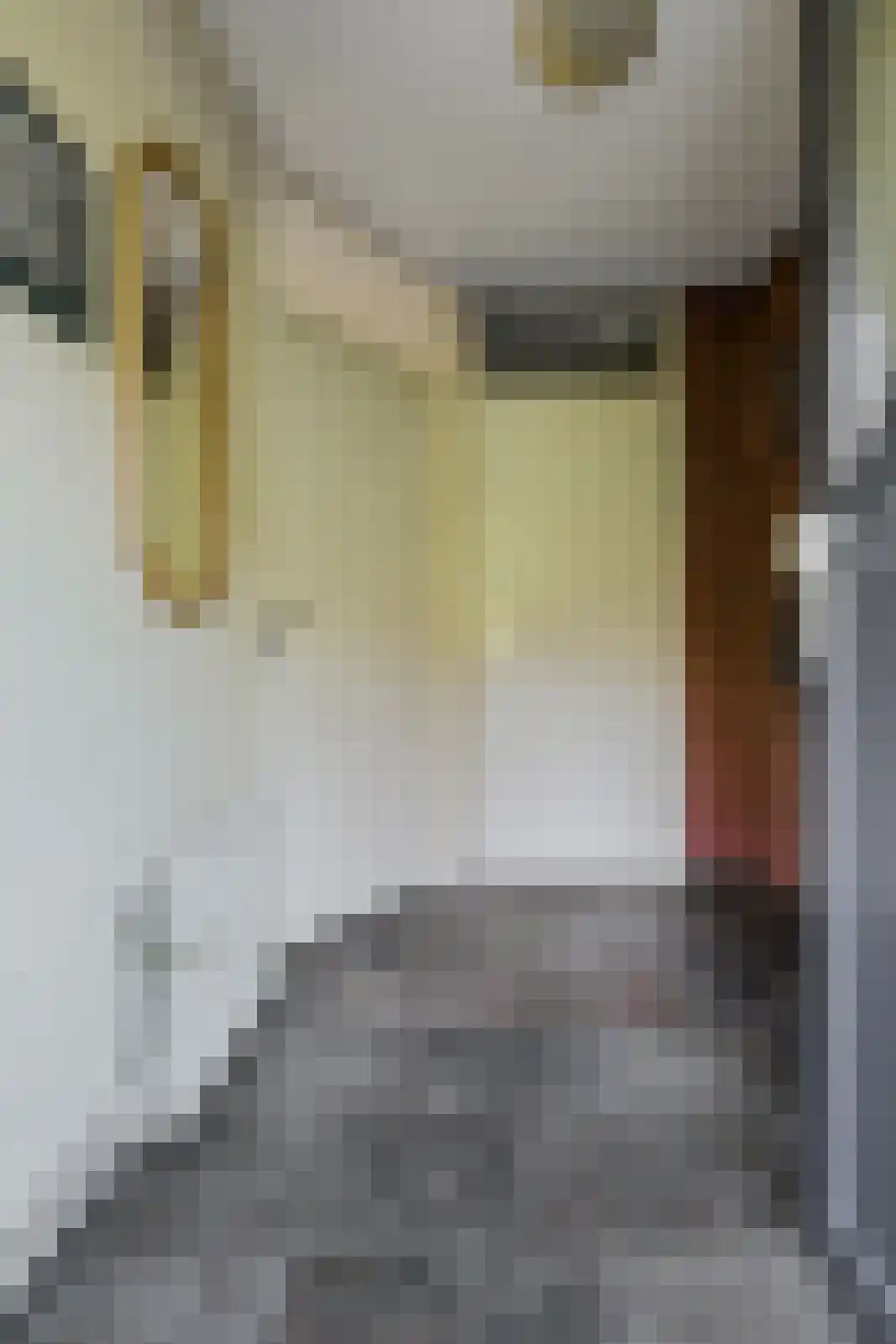 Bijsterveldenlaan 390 Tilburg thumbnail 22