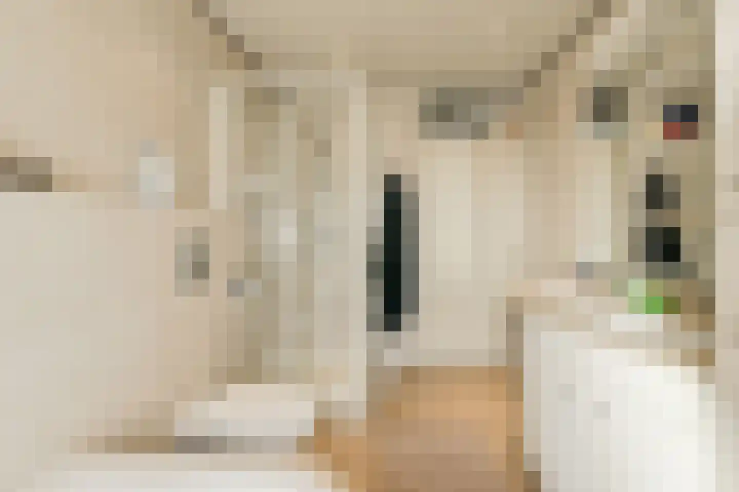 Bijsterveldenlaan 390 Tilburg thumbnail 29