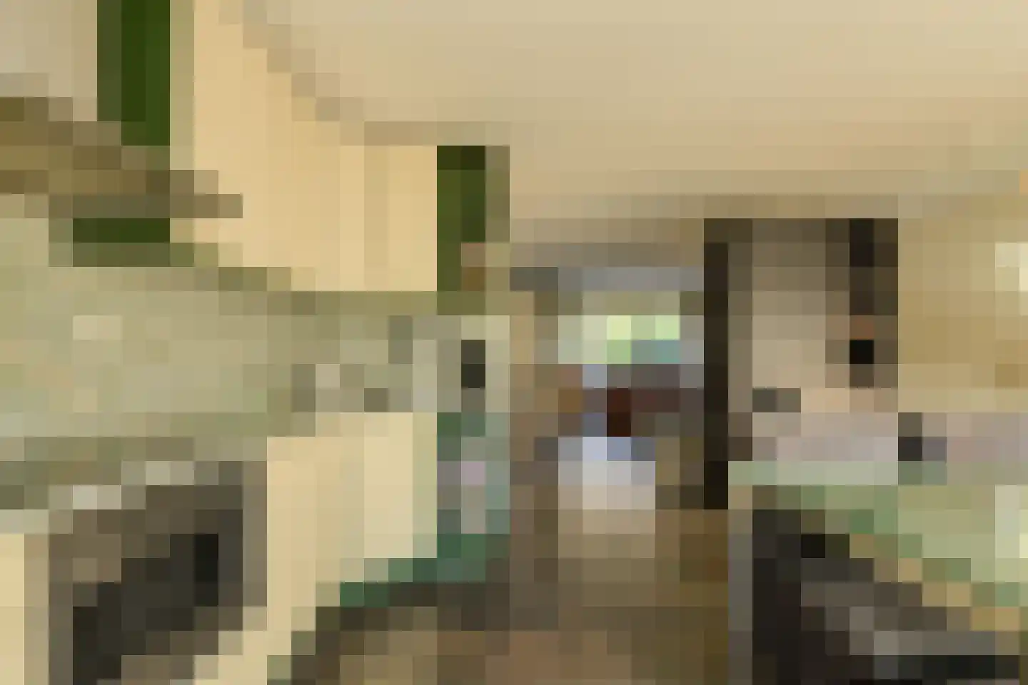 Bijsterveldenlaan 390 Tilburg thumbnail 4