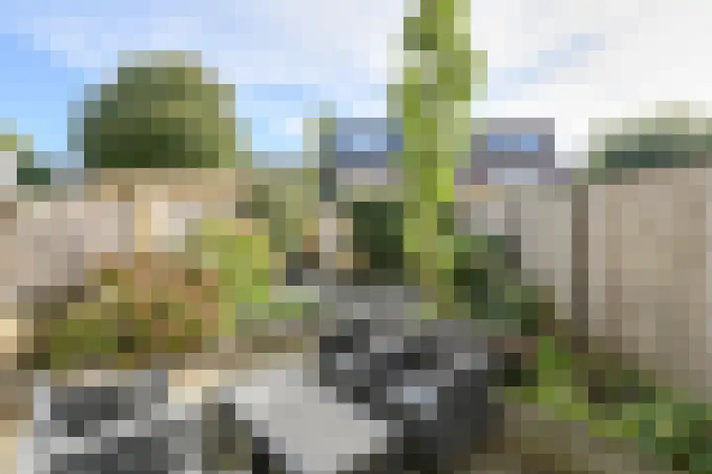 Bijsterveldenlaan 390 Tilburg thumbnail 41