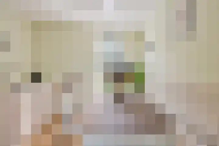 Bijsterveldenlaan 403 Tilburg thumbnail 16
