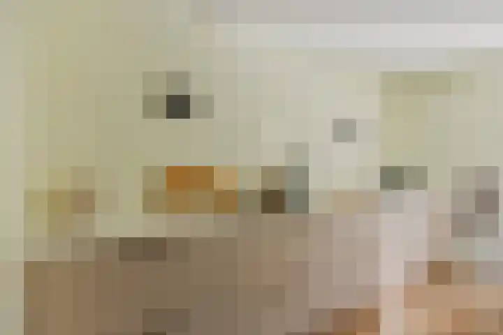 Bijsterveldenlaan 403 Tilburg thumbnail 18