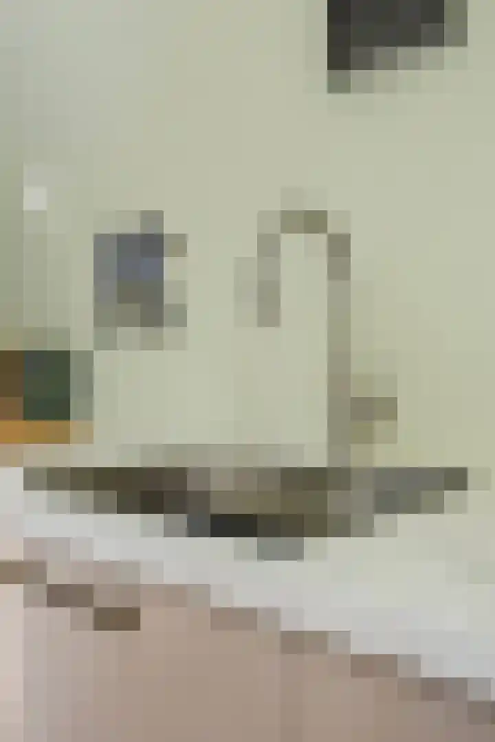 Bijsterveldenlaan 403 Tilburg thumbnail 21