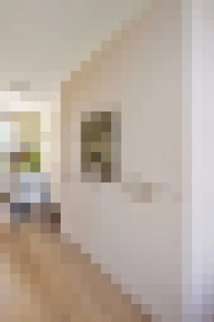 Bijsterveldenlaan 403 Tilburg thumbnail 22
