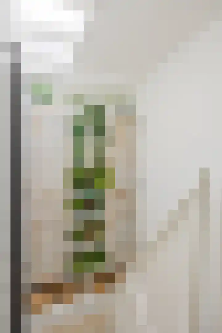 Bijsterveldenlaan 403 Tilburg thumbnail 25