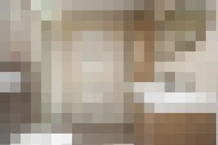 Bijsterveldenlaan 403 Tilburg thumbnail 33