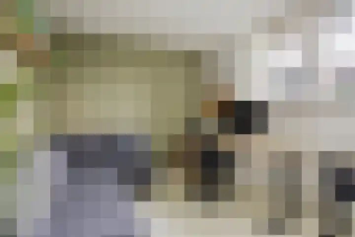 Bijsterveldenlaan 403 Tilburg thumbnail 43
