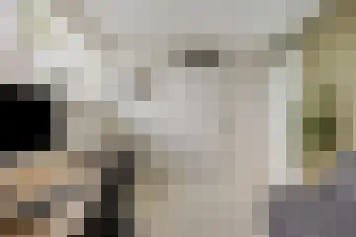 Bijsterveldenlaan 403 Tilburg thumbnail 44