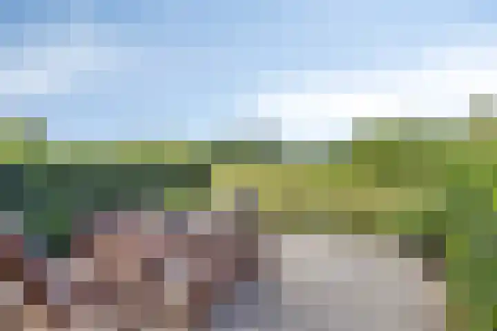 Bijsterveldenlaan 403 Tilburg thumbnail 5