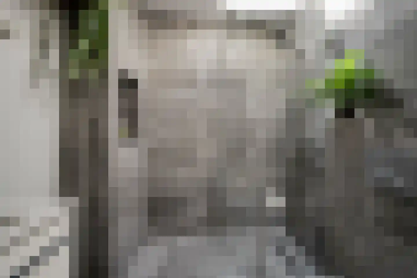 Bijsterveldenlaan 415 Tilburg thumbnail 19