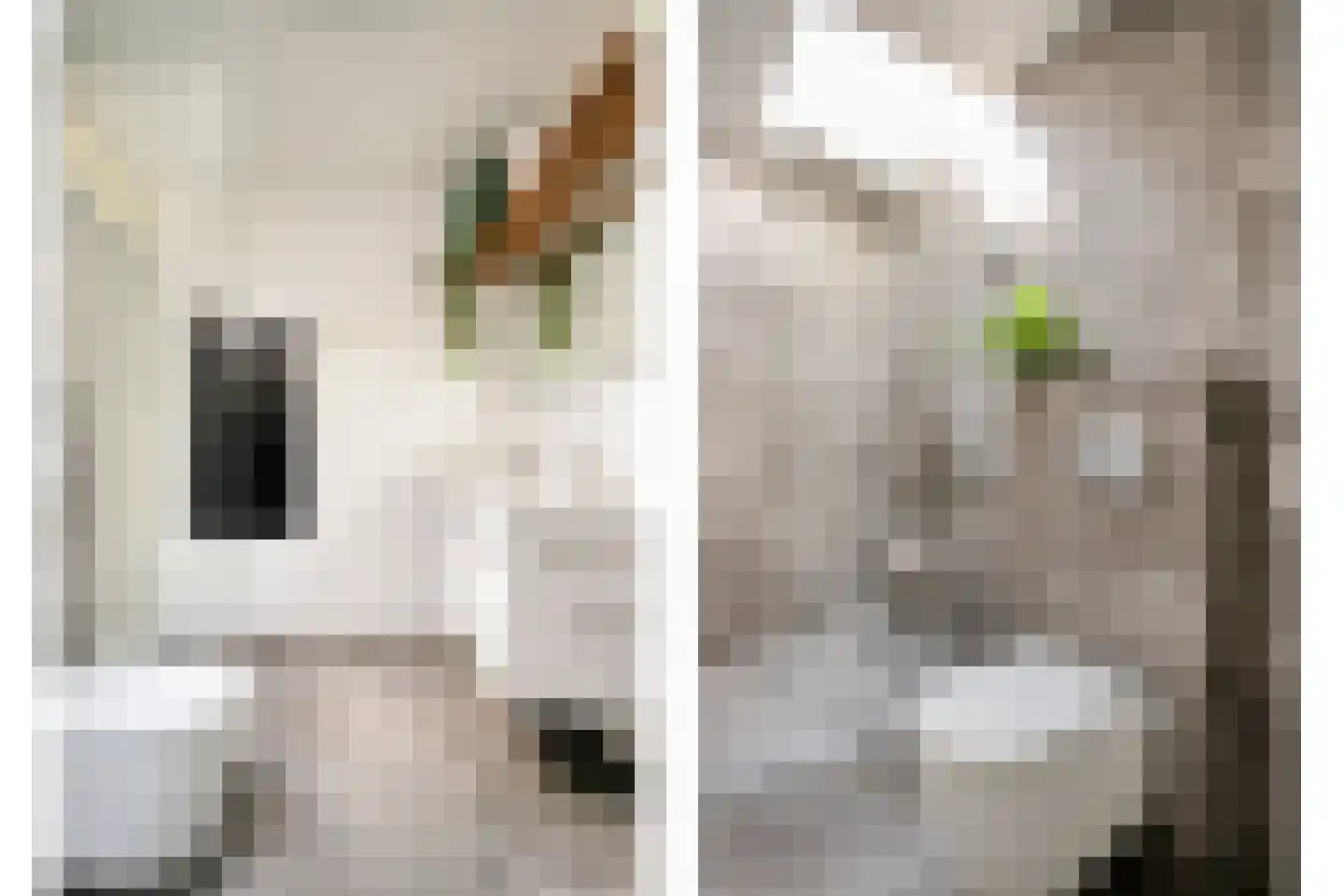 Bijsterveldenlaan 415 Tilburg thumbnail 20