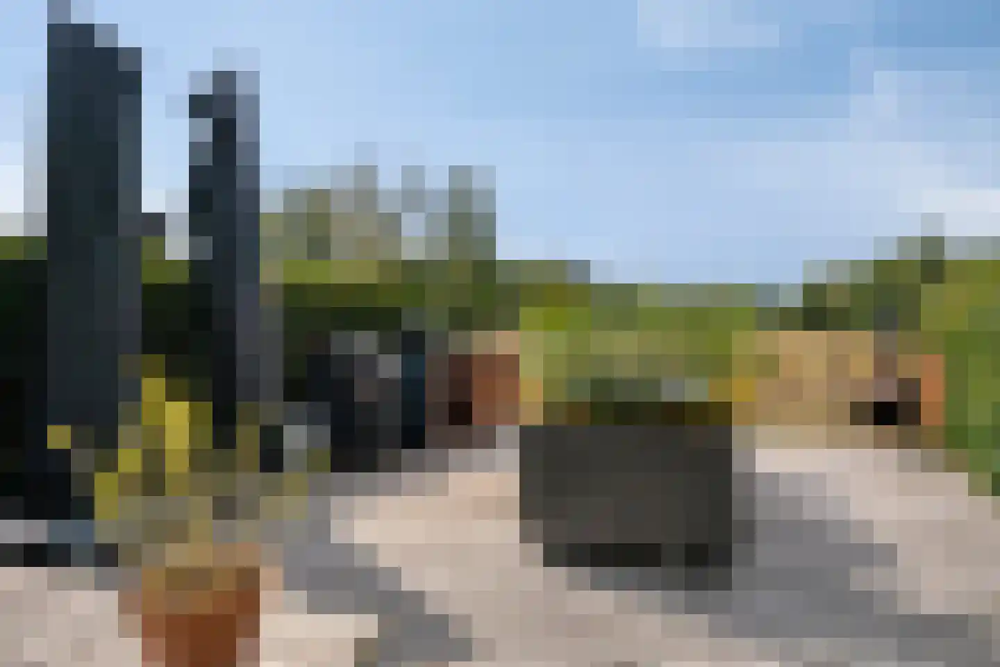 Bijsterveldenlaan 415 Tilburg thumbnail 23