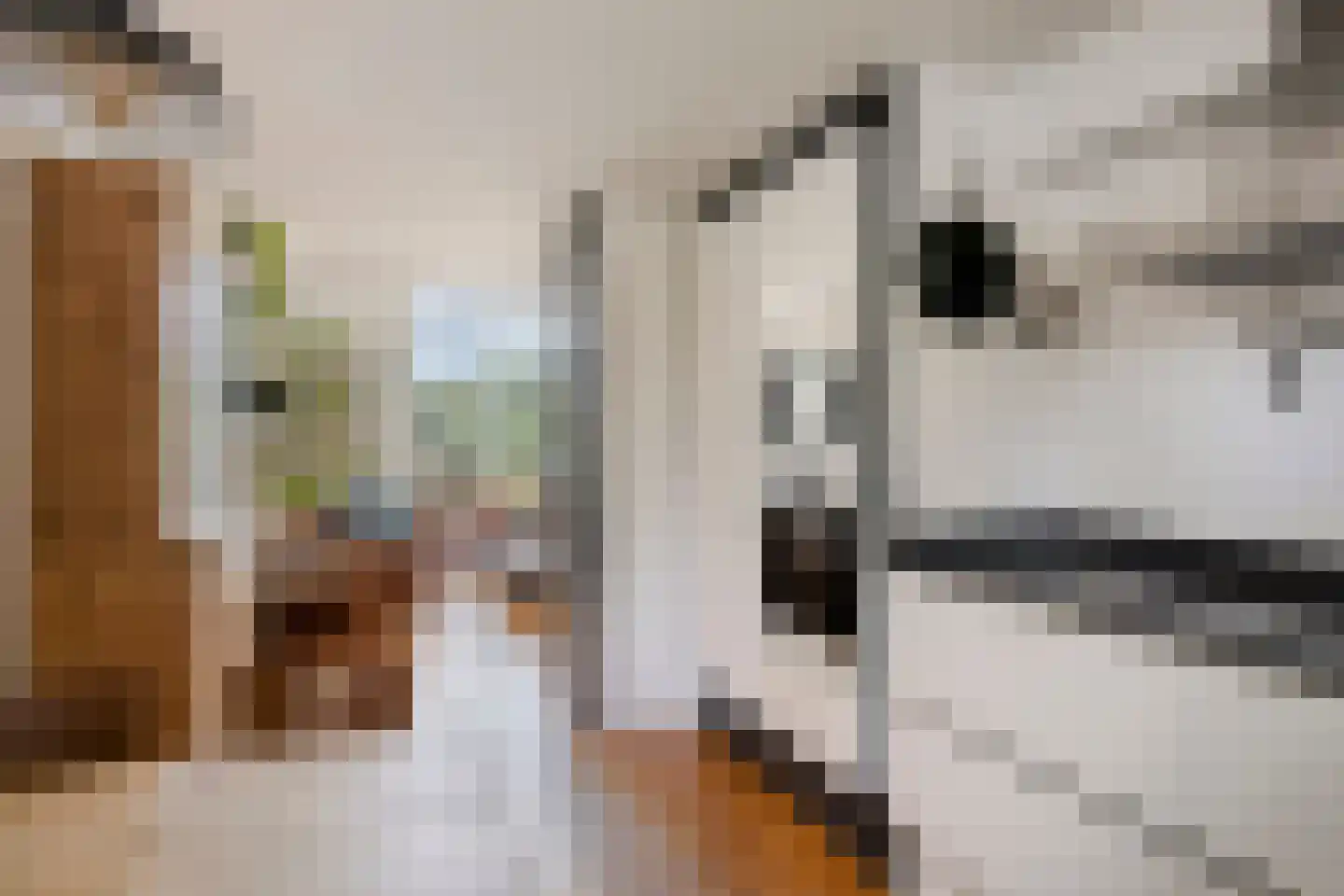 Bijsterveldenlaan 415 Tilburg thumbnail 7