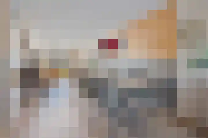 Bijsterveldenlaan 63 Tilburg thumbnail 13