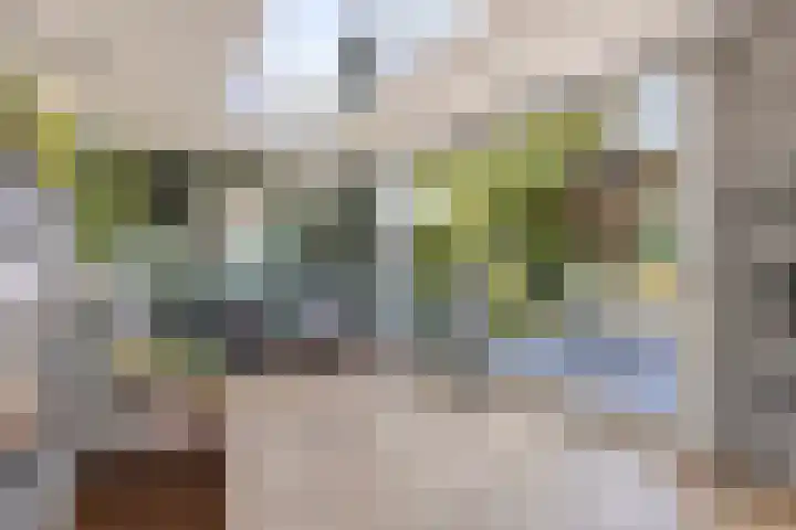 Bijsterveldenlaan 63 Tilburg thumbnail 18
