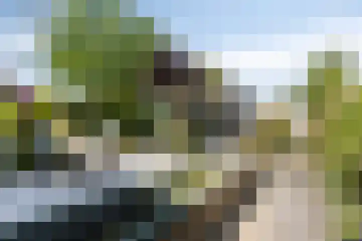 Bijsterveldenlaan 63 Tilburg thumbnail 34