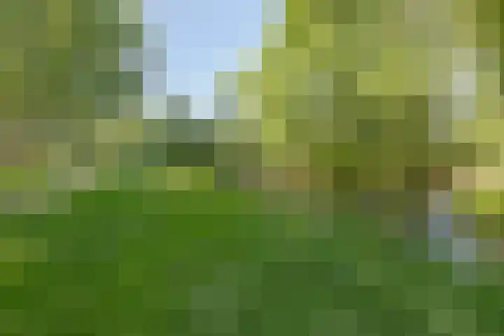 Bijsterveldenlaan 63 Tilburg thumbnail 37