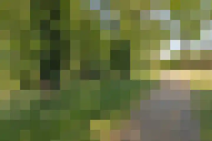 Bijsterveldenlaan 63 Tilburg thumbnail 38
